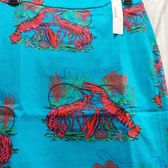 💗 J.Crew midi skirt, new, Size 2 - Picture 12 of 14